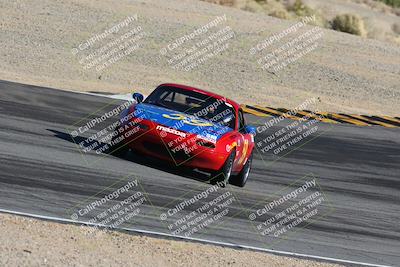 media/Feb-18-2024-Nasa AZ (Sun) [[891db5b212]]/7-Race Group A/Session 1 Turn 12 Exit-Bowl Entry/